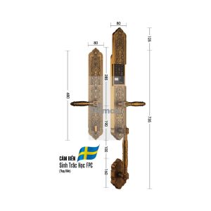 KHÓA ĐẠI SẢNH BIỆT THỰ DEMAX SL888 GB BRASS - APP WIFI